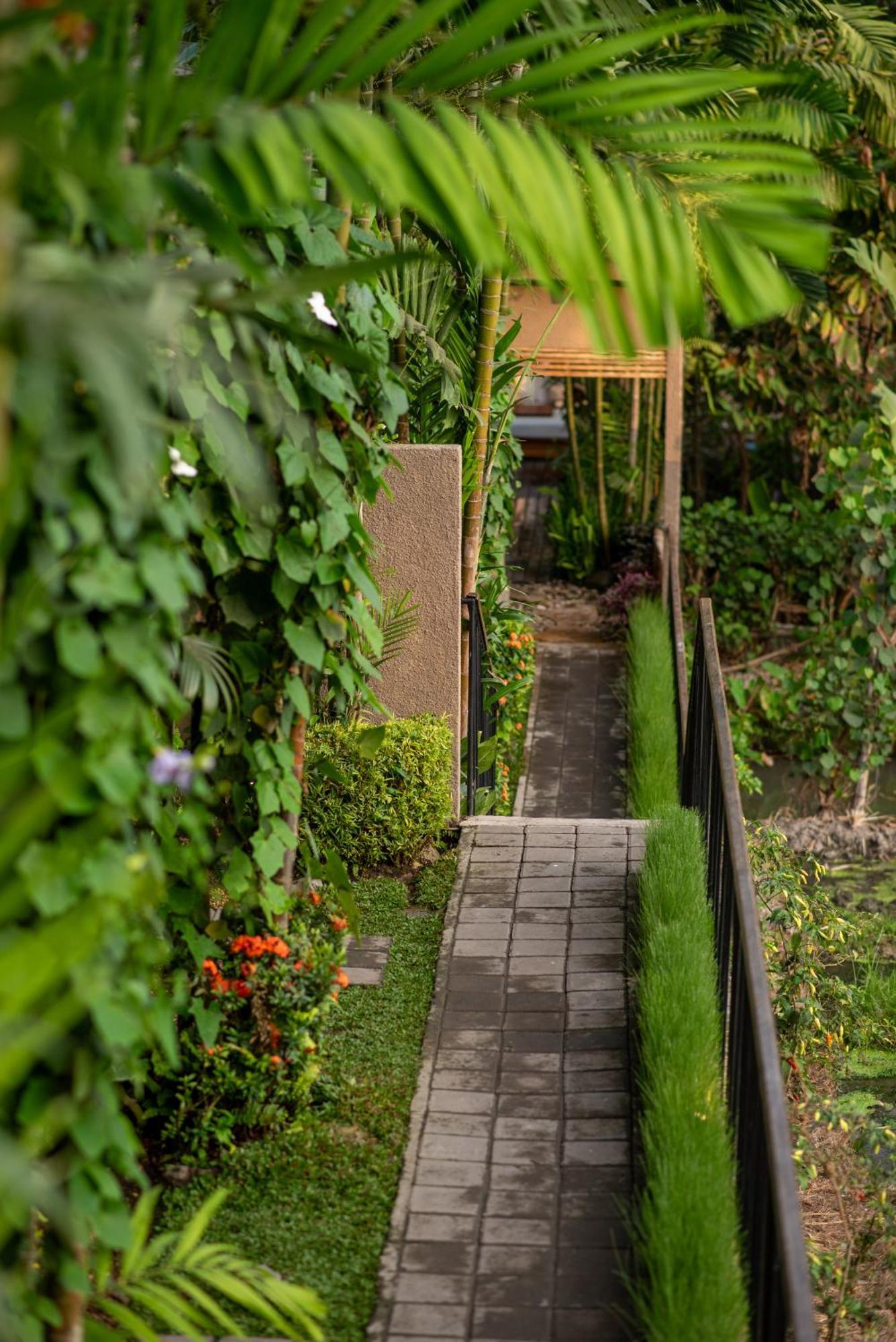Pangkung Sari Bed And Breakfast Canggu Buitenkant foto