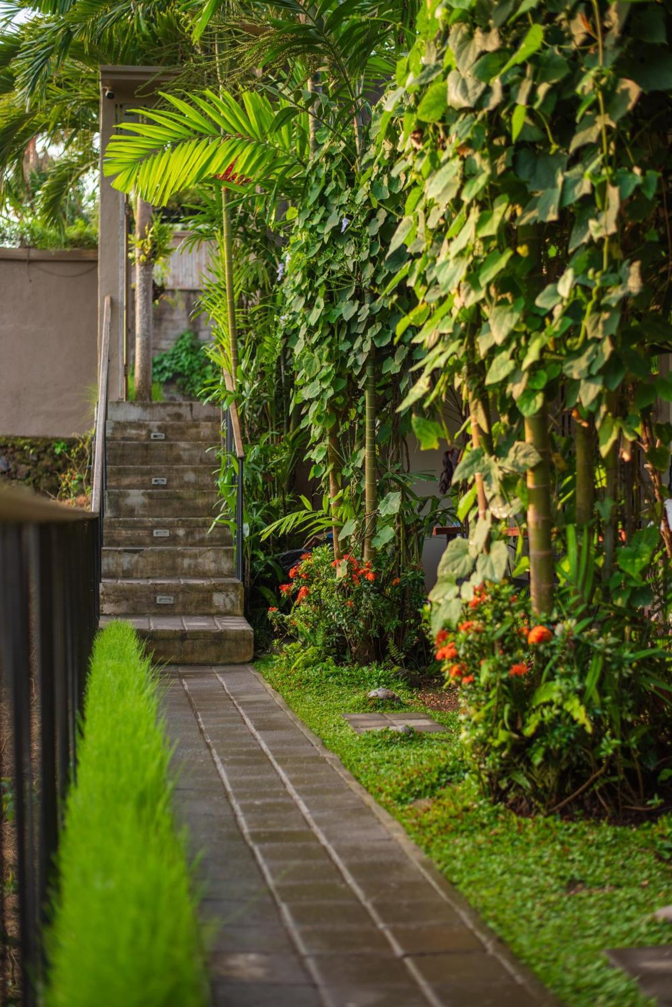 Pangkung Sari Bed And Breakfast Canggu Buitenkant foto