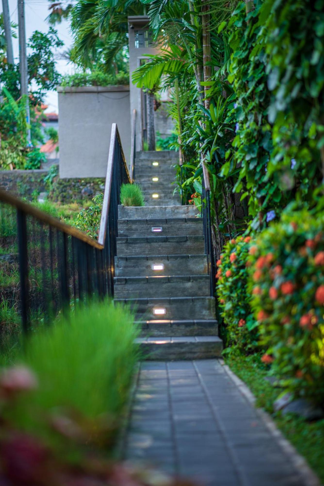 Pangkung Sari Bed And Breakfast Canggu Buitenkant foto