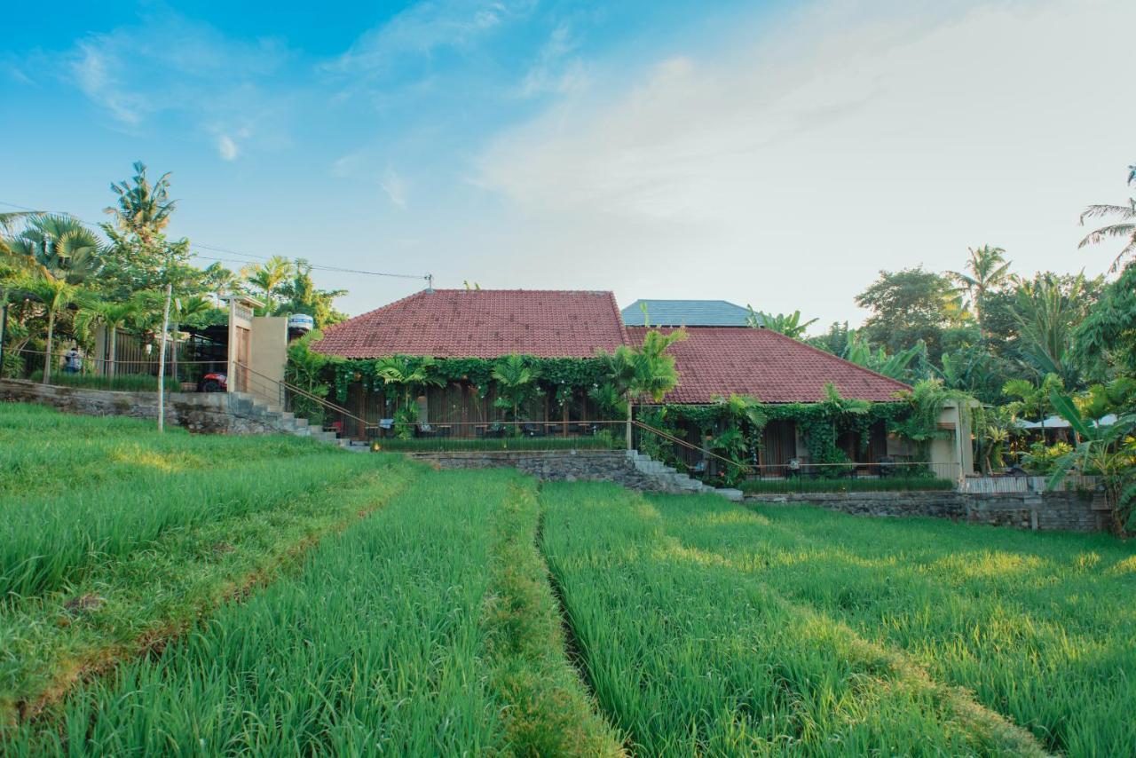 Pangkung Sari Bed And Breakfast Canggu Buitenkant foto