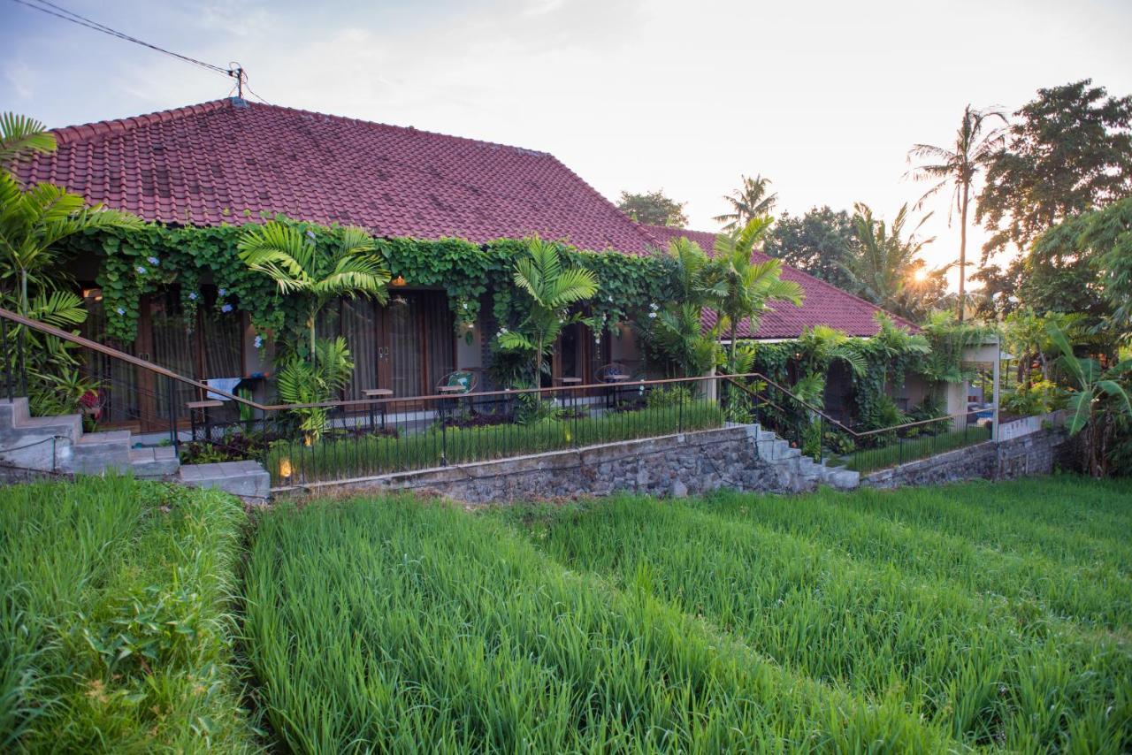 Pangkung Sari Bed And Breakfast Canggu Buitenkant foto
