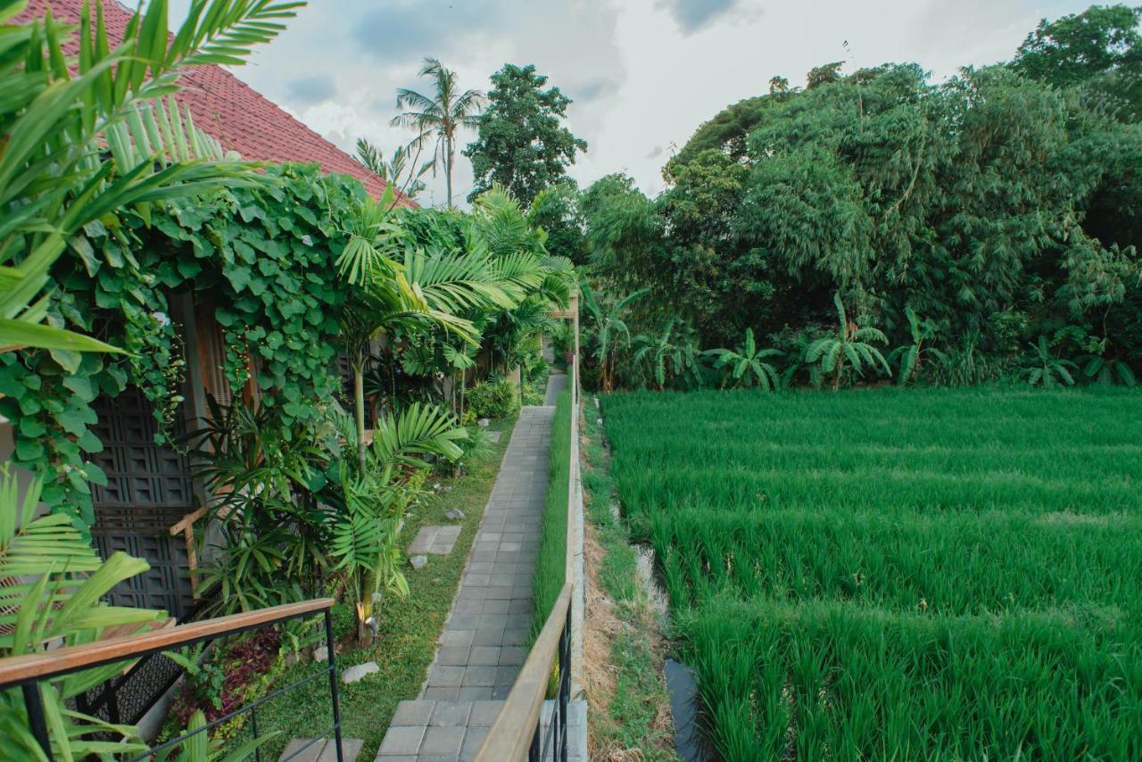 Pangkung Sari Bed And Breakfast Canggu Buitenkant foto